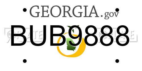 BUB9888 Georgia License Plate