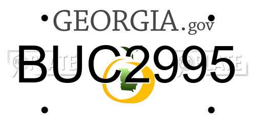 BUC2995 Georgia License Plate