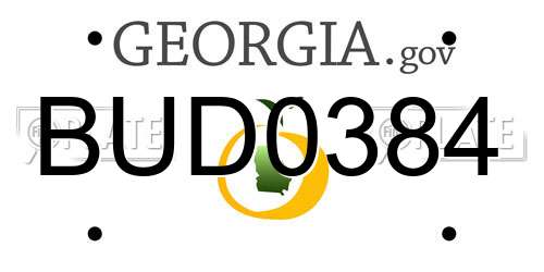 BUD0384 Georgia License Plate