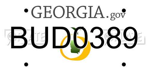 BUD0389 Georgia License Plate
