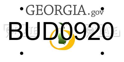 BUD0920 Georgia License Plate