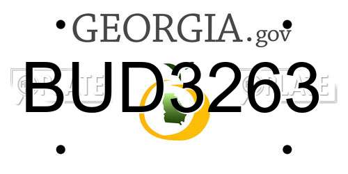 BUD3263 Georgia License Plate
