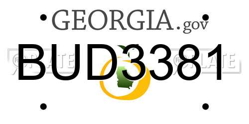 BUD3381 Georgia License Plate
