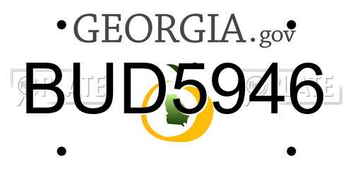 BUD5946 Georgia License Plate