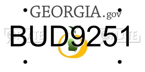BUD9251 Georgia License Plate