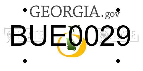 BUE0029 Georgia License Plate