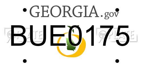 BUE0175 Georgia License Plate