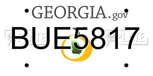 BUE5817 Georgia License Plate