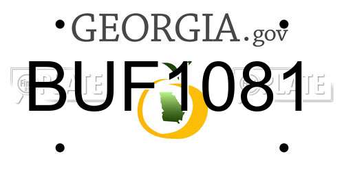 BUF1081 Georgia License Plate