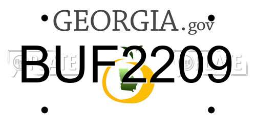 BUF2209 Georgia License Plate