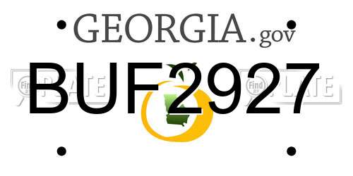 BUF2927 Georgia License Plate