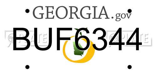 BUF6344 Georgia License Plate