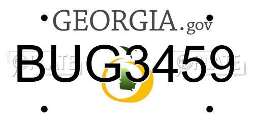 BUG3459 Georgia License Plate
