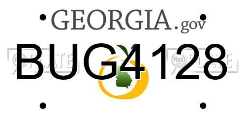 BUG4128 Georgia License Plate