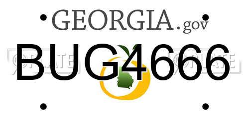 BUG4666 Georgia License Plate