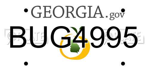 BUG4995 Georgia License Plate