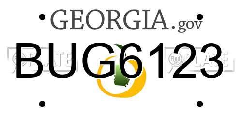 BUG6123 Georgia License Plate