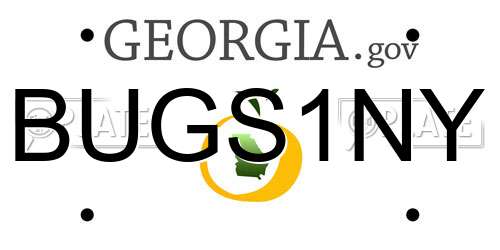 BUGS1NY Georgia License Plate