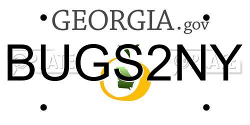 BUGS2NY Georgia License Plate