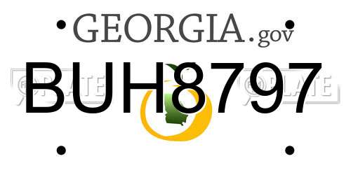 BUH8797 Georgia License Plate