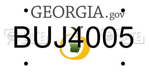 BUJ4005 Georgia License Plate