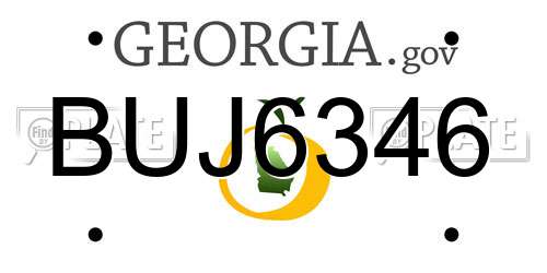 BUJ6346 Georgia License Plate