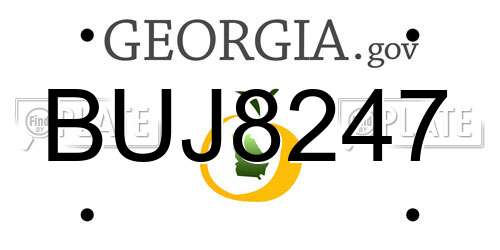 BUJ8247 Georgia License Plate