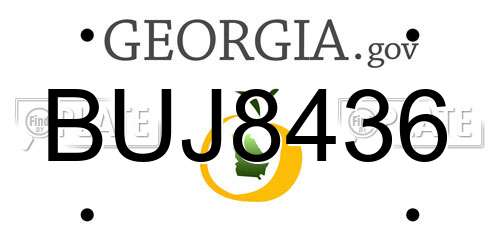 BUJ8436 Georgia License Plate