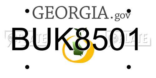BUK8501 Georgia License Plate