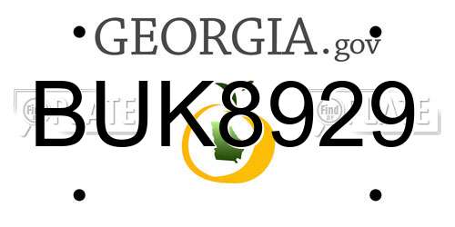 BUK8929 Georgia License Plate