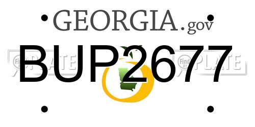 BUP2677 Georgia License Plate