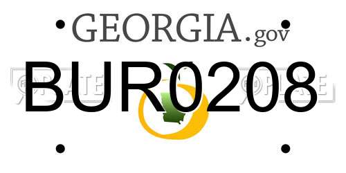 BUR0208 Georgia License Plate