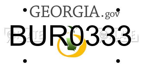 BUR0333 Georgia License Plate