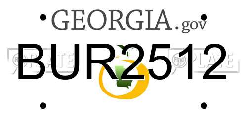 BUR2512 Georgia License Plate