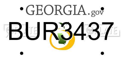 BUR3437 Georgia License Plate