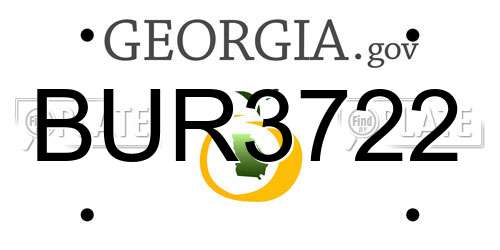 BUR3722 Georgia License Plate