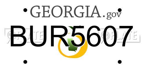 BUR5607 Georgia License Plate