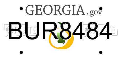 BUR8484 Georgia License Plate