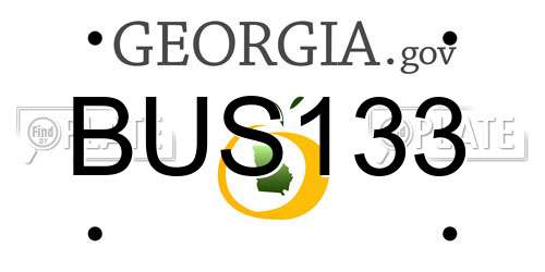BUS133 Georgia License Plate