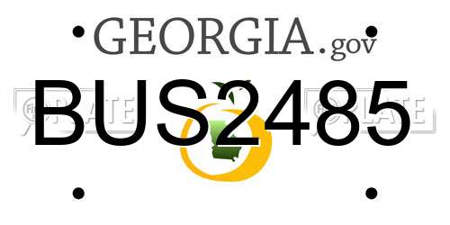 BUS2485 Georgia License Plate