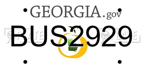 BUS2929 Georgia License Plate