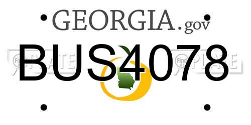 BUS4078 Georgia License Plate