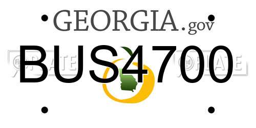 BUS4700 Georgia License Plate