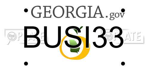BUSI33 Georgia License Plate