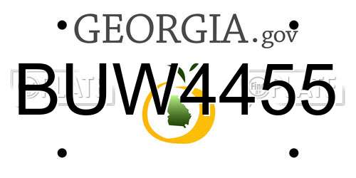 BUW4455 Georgia License Plate