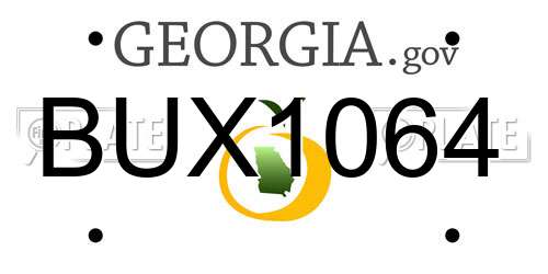 BUX1064 Georgia License Plate