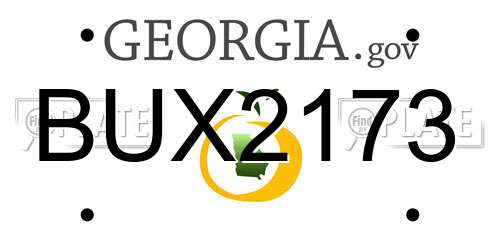 BUX2173 Georgia License Plate