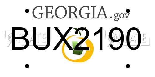 BUX2190 Georgia License Plate