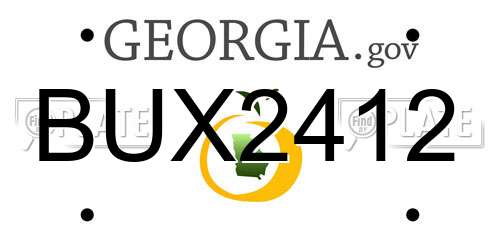 BUX2412 Georgia License Plate