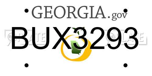 BUX3293 Georgia License Plate